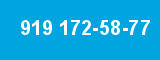 919 172-58-77 919 172-58-77